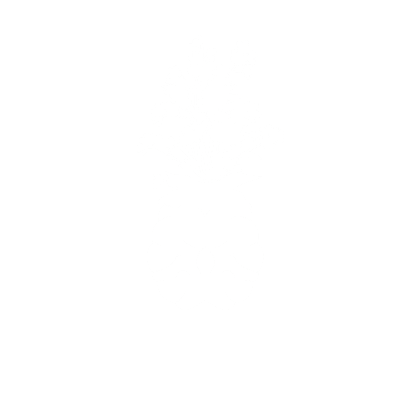 Bloom Surge Creative